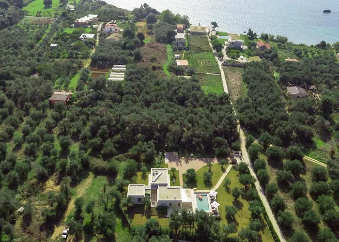 Almyra * Halikounas