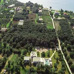 Almyra * Halikounas