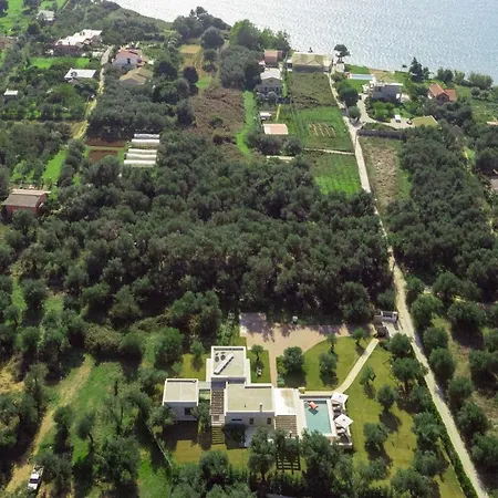 Almyra * Halikounas